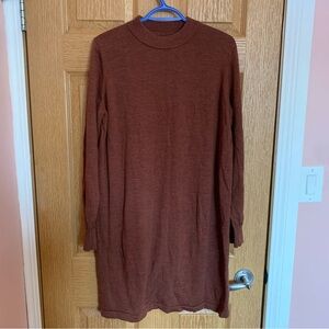 Frank & Oak Merino Wool Sweater Dress
